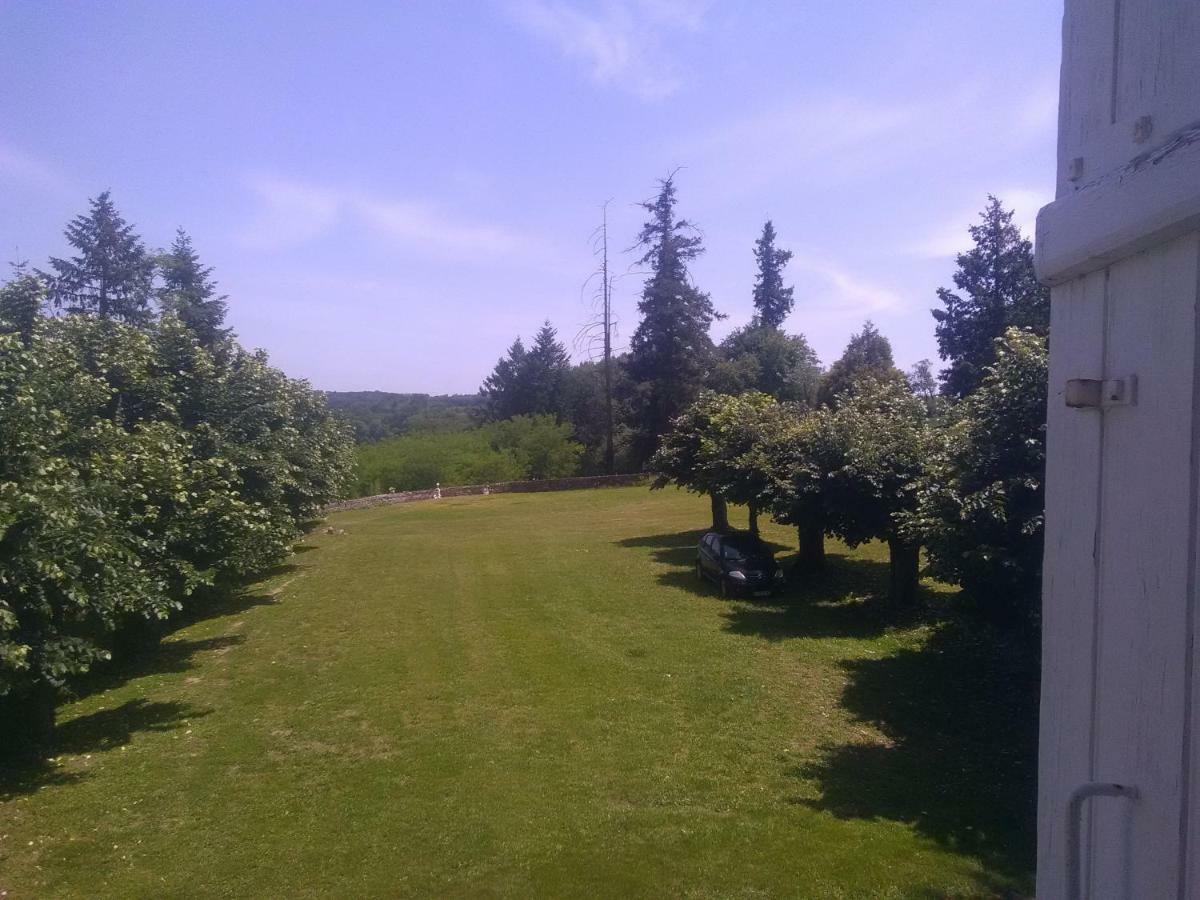 Bed and Breakfast Pierre Deluen Domaine De La Grange De Quaire Chassenon Exterior foto